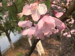 -汉堡王(EAC欧美中心店)