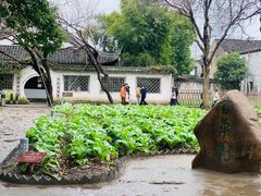 -绍兴鲁迅故里·沈园景区