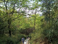 -桃花岭景区