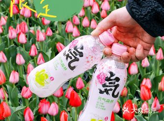 樱花季限定元气森林｜拧开瓶盖打开春天