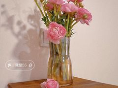 -花鸟鱼虫鲜花绿植市场(玉泉路店)
