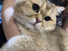 -PETKIT小佩宠物(昭化店)