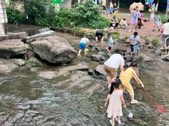 -重庆彩云湖湿地公园