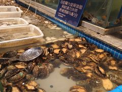 -一方渔歌蒸汽海鲜自助(文化路万达广场店)