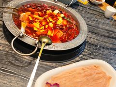 -杨肥肠小火锅(花园店)