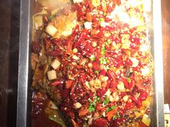 -锦尚阁烤鱼(望京新荟城店)