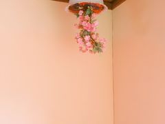 -金山农民画村-枫泾波兰倒置屋