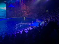 -芜湖新华联大白鲸海洋公园