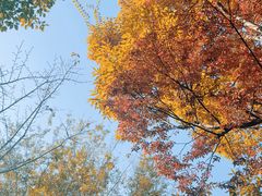 -狼山风景名胜区