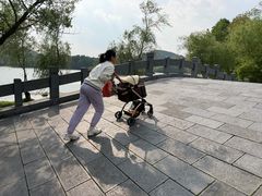 -长广溪湿地公园