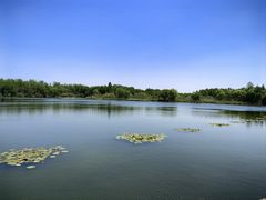 -溱湖国家湿地公园