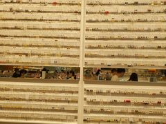 -KKV(深圳宏发大仟里店)