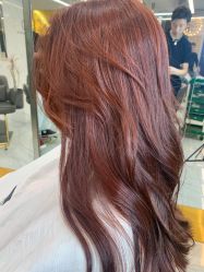 -潘多拉Hairsalon