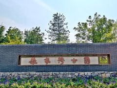 -张家湾公园