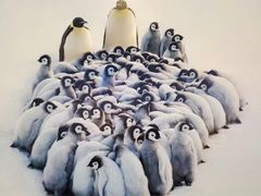 -罗红摄影艺术馆