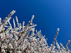 -鹫峰国家森林公园