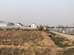 -小鱼草莓采摘园农家乐·小鱼餐厅