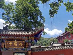 -黔灵山公园