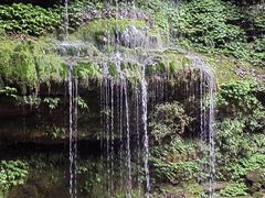-碧峰峡风景区