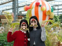 -南和农业嘉年华