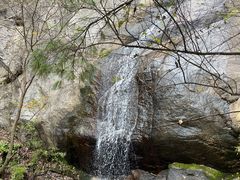 -王顺山国家森林公园