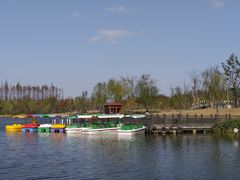 -上海长兴岛郊野公园