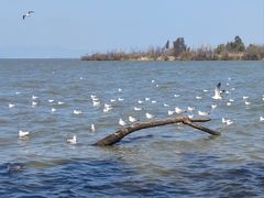 -捞渔河湿地公园