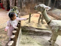 -宝燕乐园(闵行旗舰店)