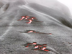 -玉苍山国家森林公园