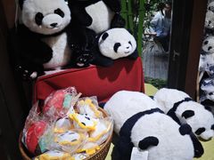-轩客会(熊猫书店)