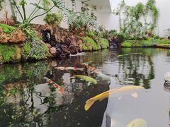 -罗红摄影艺术馆