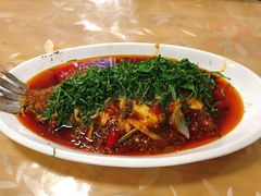 特色藿香鱼-老字号怡玺·藿香雅鱼(20年雅安店)