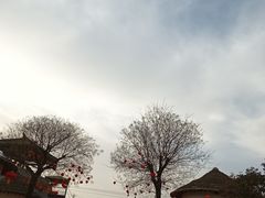 -白鹿原·白鹿仓