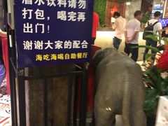 -海吃海喝海鲜烤肉餐厅
