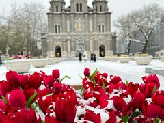 -王府井天主教堂