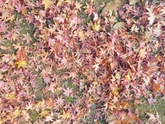 -宝界山林公园