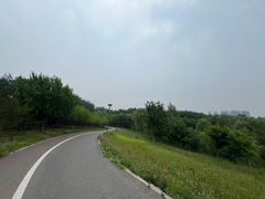 -马家湾湿地公园