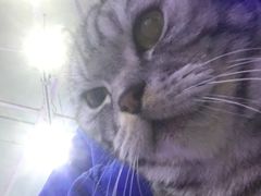 -极木²邸 人与宠物·互动社区