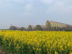 -中国天府农业博览园