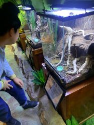 -酷嗒动物文化乐园(cutezoo西溪乐天城店)