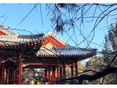 -颐和园