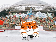 -沈阳奥体冰雪嘉年华