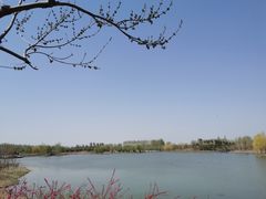 -东郊湿地公园