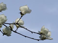 -南京市江宁方山