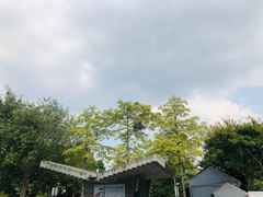 -天空花园餐吧·生日·团建(南山店)