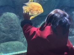 -苏州海洋馆