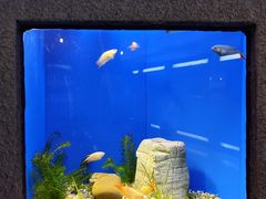 -上海海洋水族馆