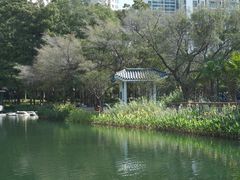 -四海公园(南山区)