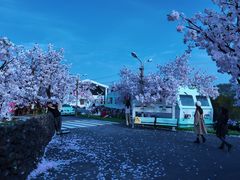 -Blue Concept Cafe&Farm·關於藍