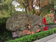 -莲湖公园
